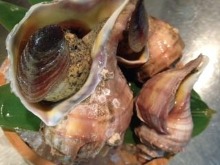 Whelk