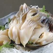 Sakhalin surf clam sashimi