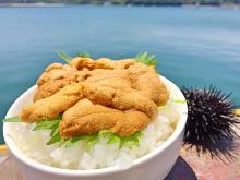 Sea urchin rice bowl