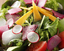 Vegetable salad