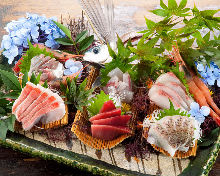 Assorted sashimi