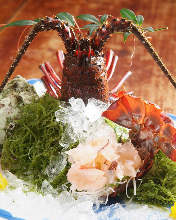 Ise ebi(spiny lobster)