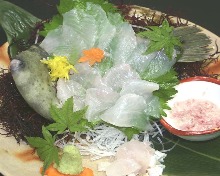 Sashimi