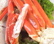 Snow crab