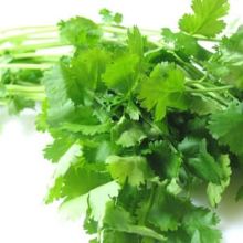 Coriander salad