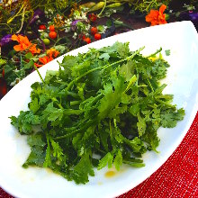 Coriander salad