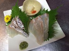 Madai(red seabream)