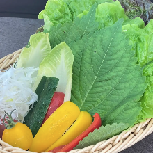 Colorful vegetable roll set