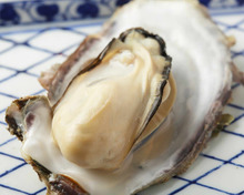 Unsalted grilled oyster