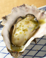 Oysters