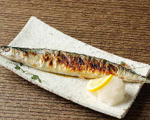 Salted and grilled saury