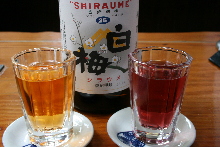 Shiraume