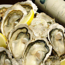 Oysters: raw or grilled