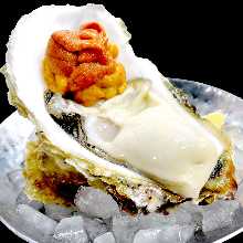 SeaUrchin and Raw oysters