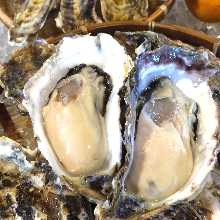 Raw oysters with Lemon & Ponzu sauce