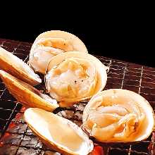 Grilled hard clam