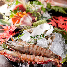 Live Japanese tiger prawn sashimi