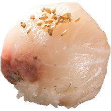 Kanpachi(amberjack)