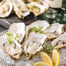 Assorted oysters