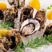 Raw oyster