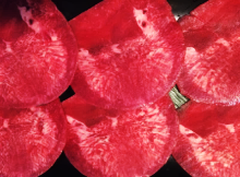 Tan shio (salted tongue)