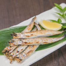 Grilled shishamo smelt