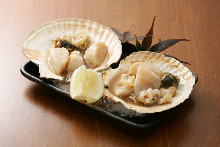 Scallops