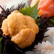 Raw sea urchin