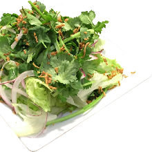 Coriander salad