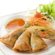 Spring roll