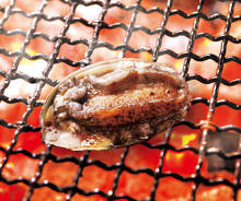 Grilled live abalone