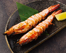 Salted and grilled Japanese tiger prawn