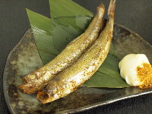 Seared shishamo smelt