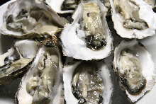 Raw oyster