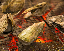 Grilled oysters