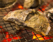 Grilled oysters