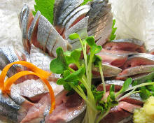 Pacific saury sashimi