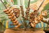 Churrasco dinner buffet course