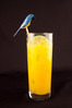 Various types of Brazilian cocktail