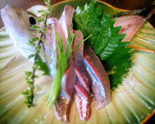 Live horse mackerel sashimi