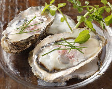 Raw oyster