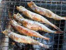 Seared shishamo smelt