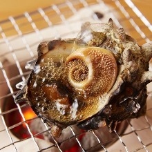 Grilled turban shell
