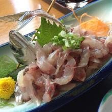 Finely chopped horse mackerel sashimi