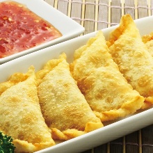 Fried gyoza