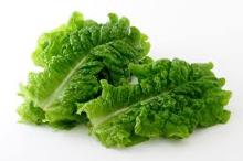 Sangchu (Korean stem lettuce)