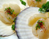 Grilled scallop