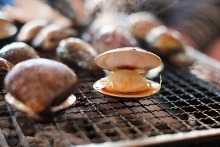 Grilled common orient clams