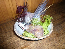 Sashimi