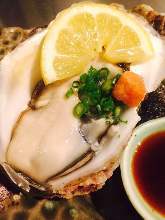 Raw oyster